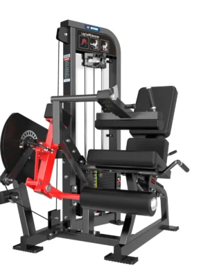 Dual Function Leg Extension/Leg Curls
