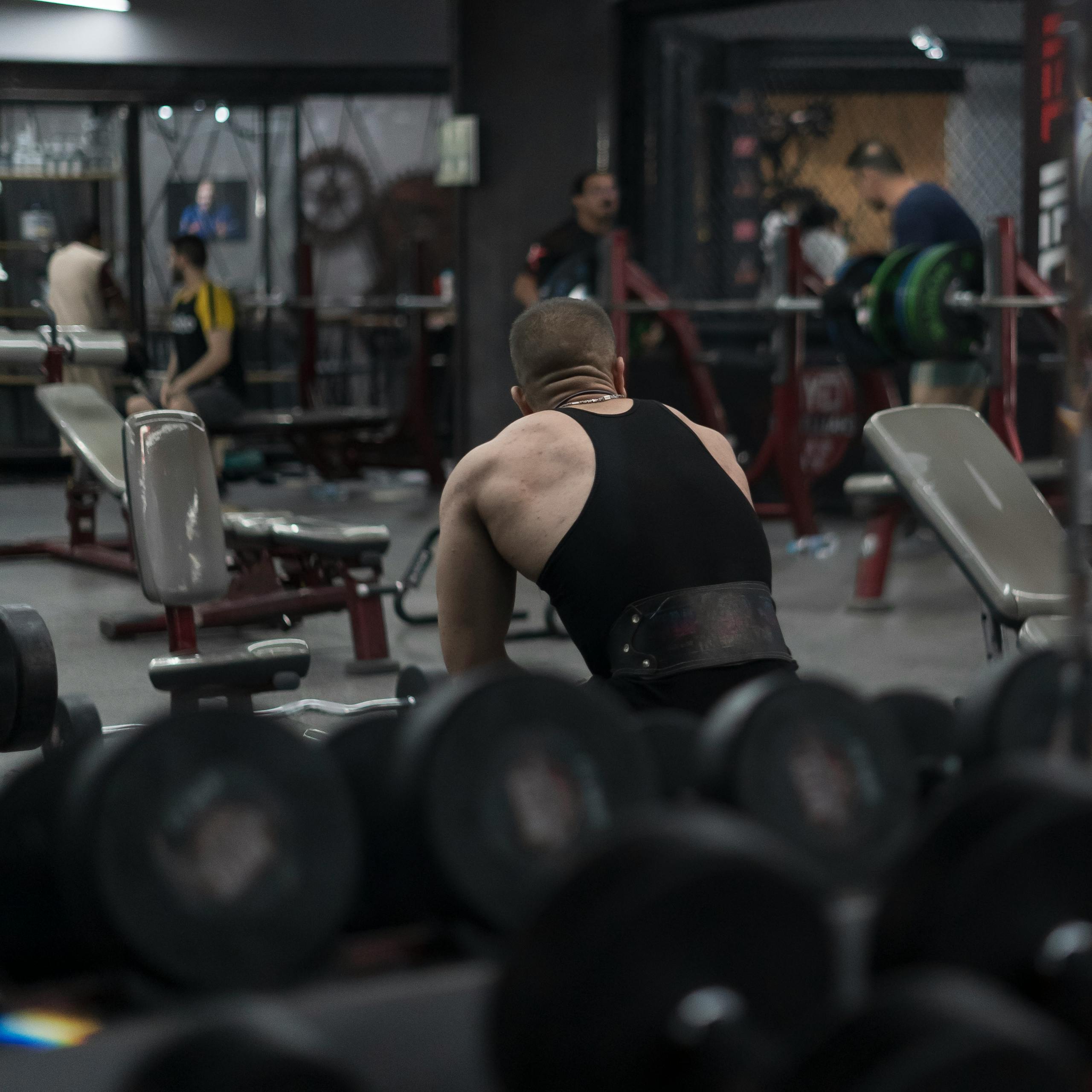 Apex Muscle Gear Lab