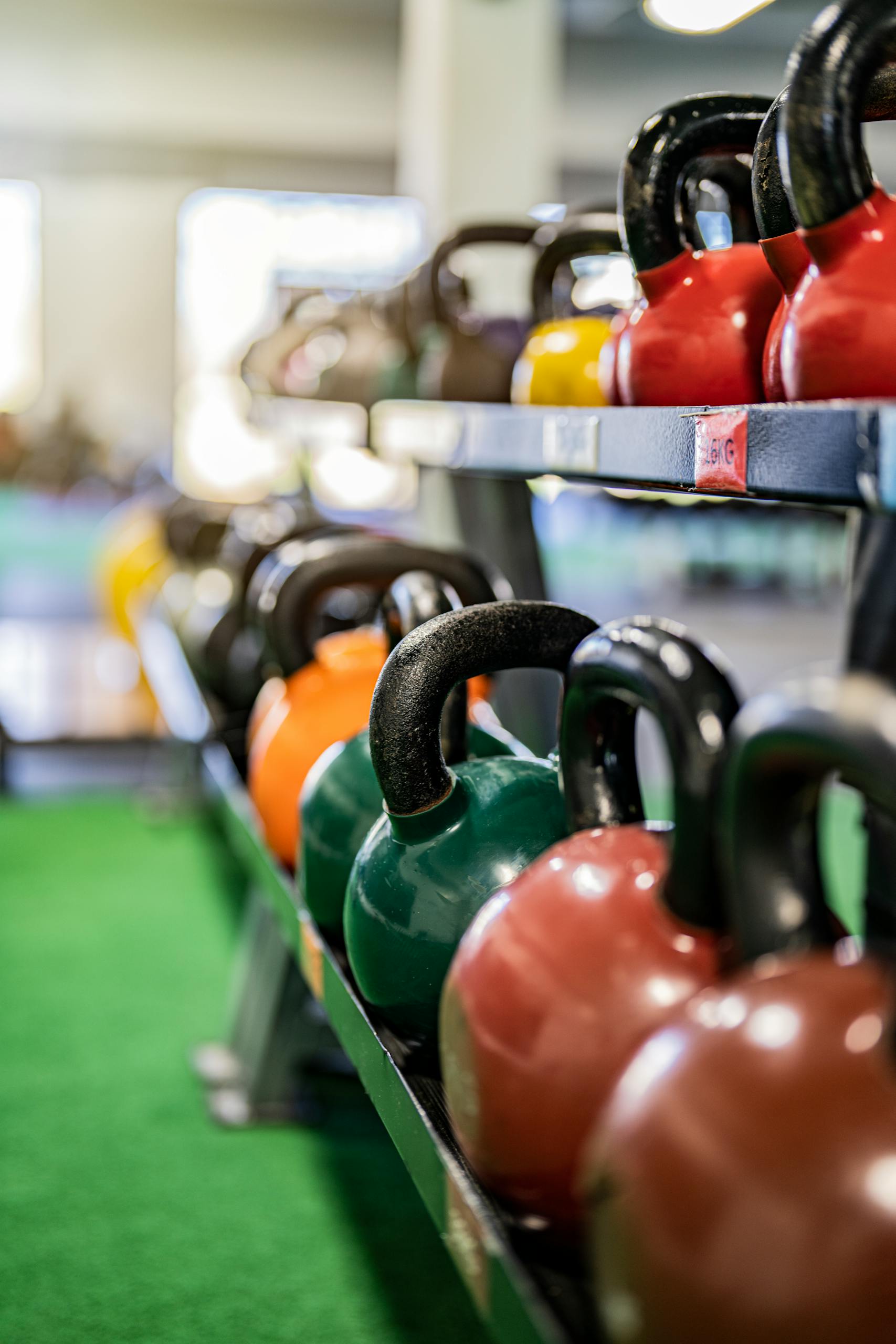 Gym Equipment